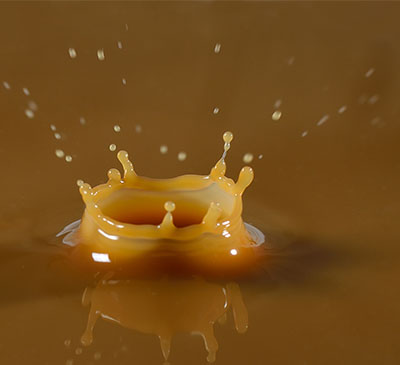 Global Corn Steep Liquor (CSL) Market 2019-2023